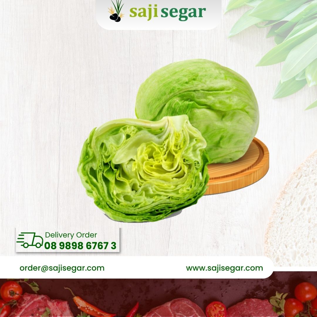 Selada Letus / 100gram